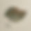 Thumbnail: Orbicular Sea-Type Jasper