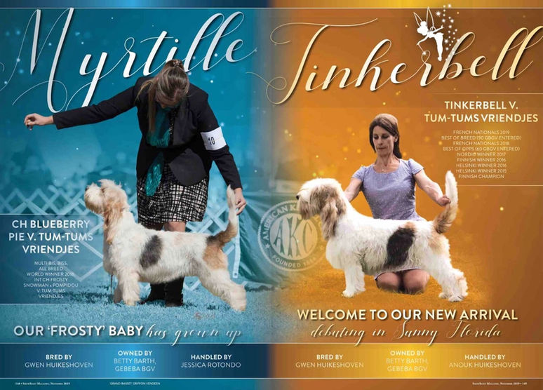 advertisement 