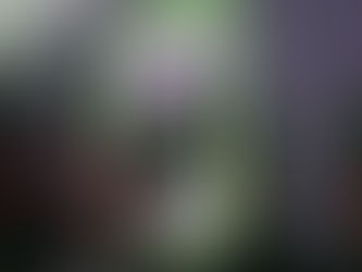 Training as a team 💎