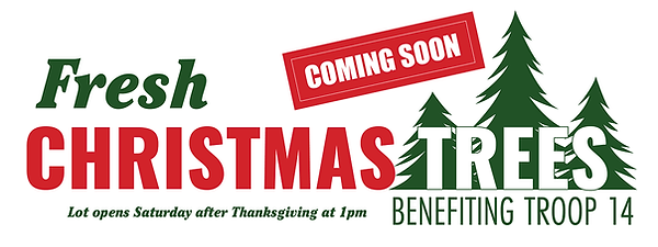 christmas trees fb.png