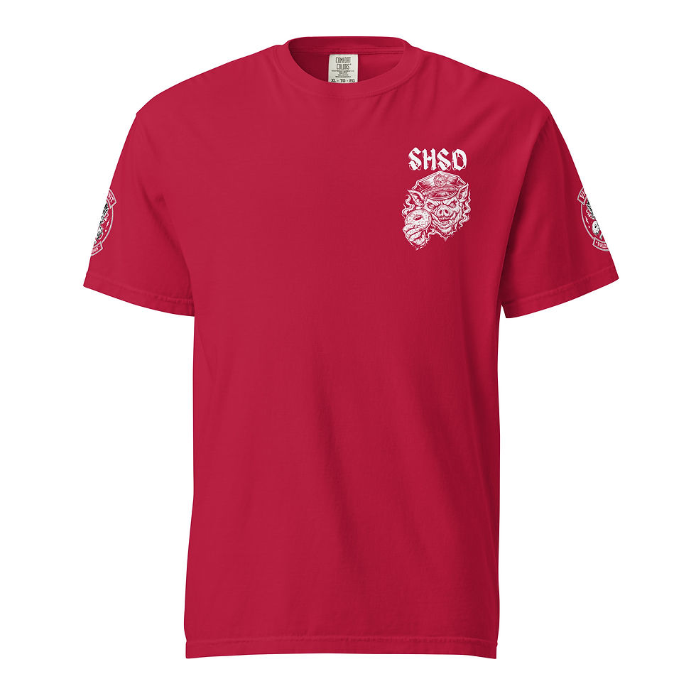 Thumbnail: Unisex SHSD "Bad Decision Division" Heavyweight T-shirt