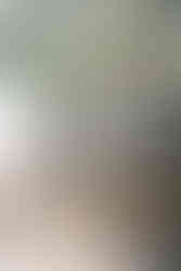 Melrose Mansion in New Orleans, LA