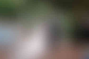 bride and groom new orleans wedding ceremony