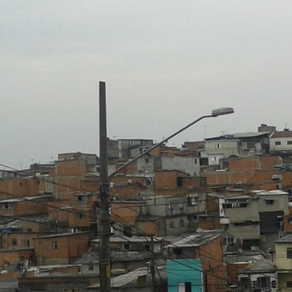 Do censo às cestas