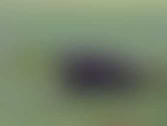 Oppsummering fra rovviltnemnda sitt møte 19.01