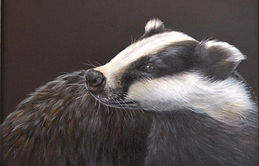 Badger