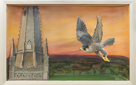 peregrine diorama.jpg