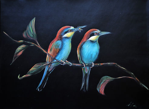 Bee Eaters
