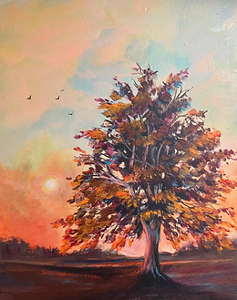 Copper Beech.JPG