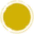 דבש מכוורת נגוהות - קישור לנקודות מכירה בדרום