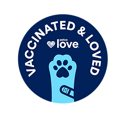 Vaccinated LovedSticker_Navy.png