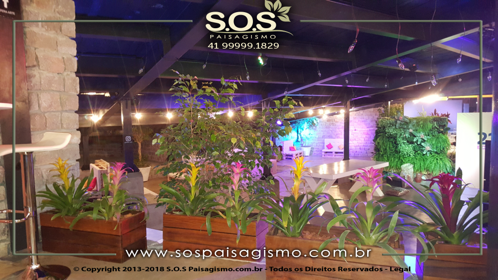Cachepo de Madeira 20180325_221735