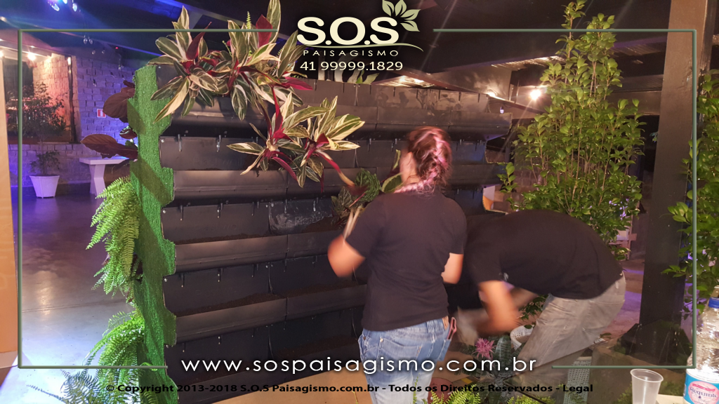 Parede Verde 20180325_221440