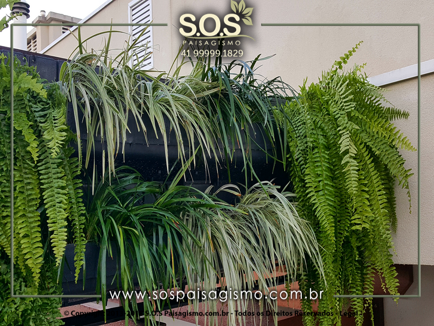 Parede Verde 20170624_170606