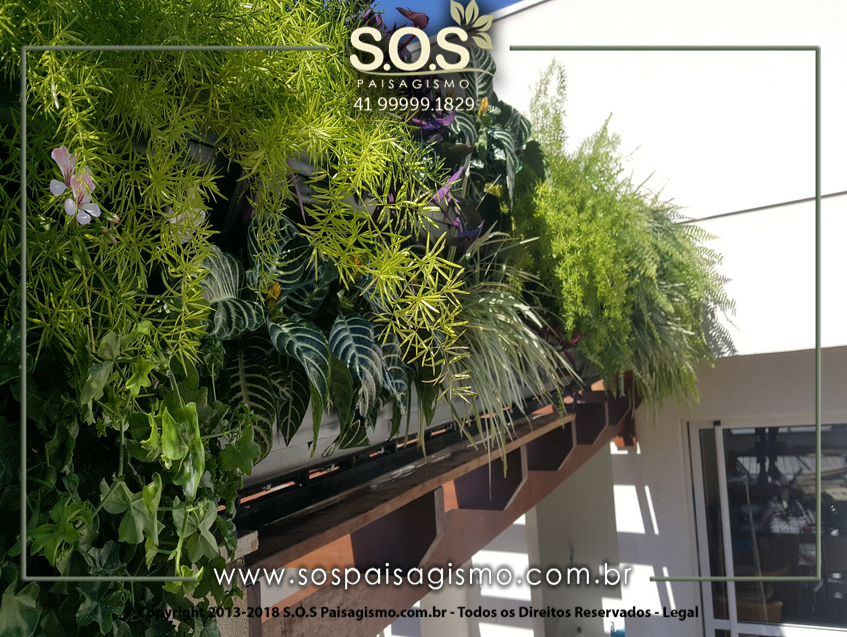 Parede Verde 20170626_135650