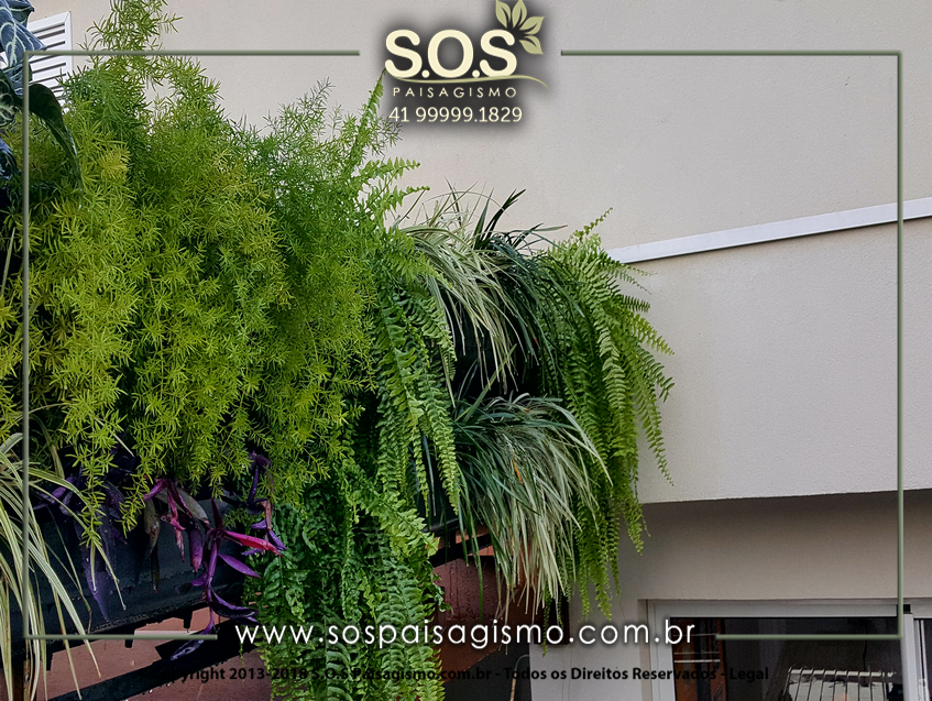 Parede Verde 20170624_170612