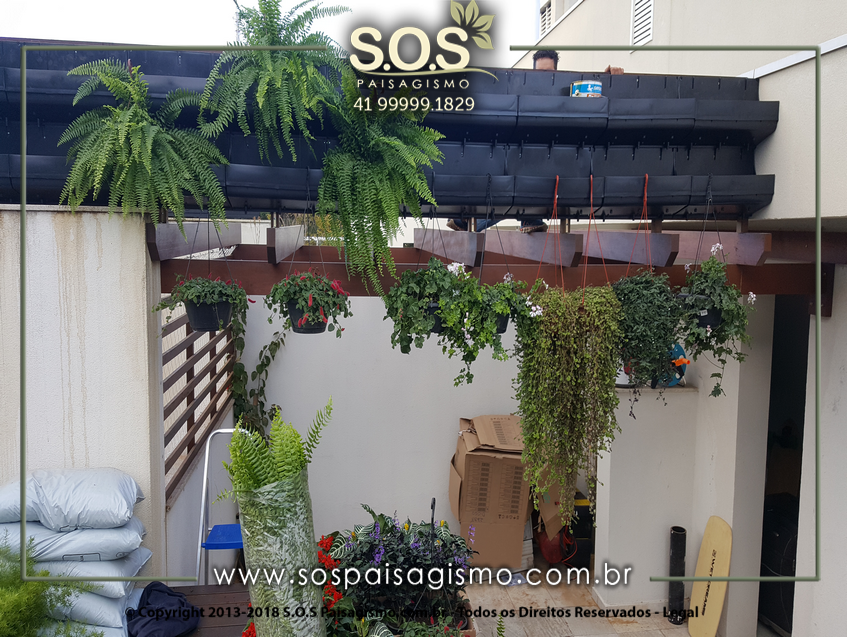 Parede Verde 20170623_163159