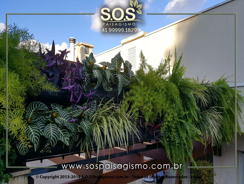 Parede Verde 20170624_161913