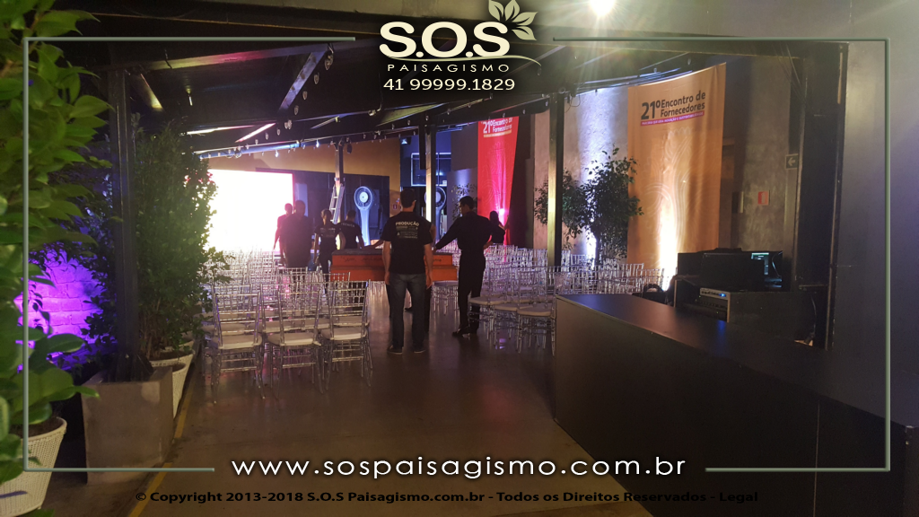 Parede Verde 20180325_185131