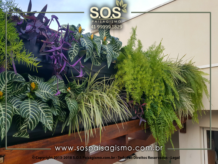 Parede Verde 20170626_163719