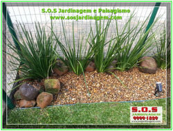 2014-08-14_00024 S.O.S Jardinagem e Paisagismo.jpg