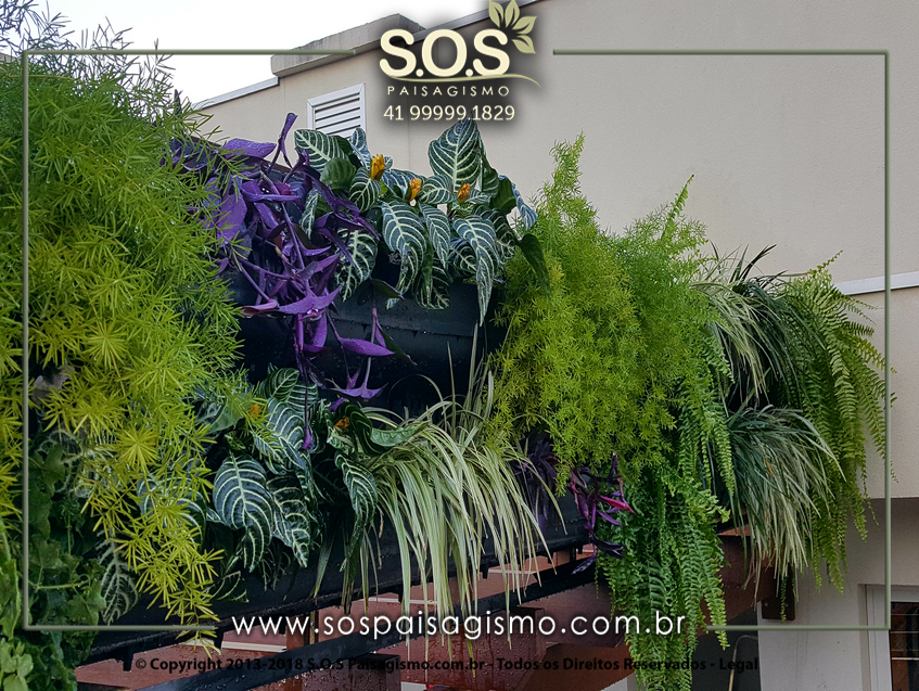 Parede Verde 20170624_170617