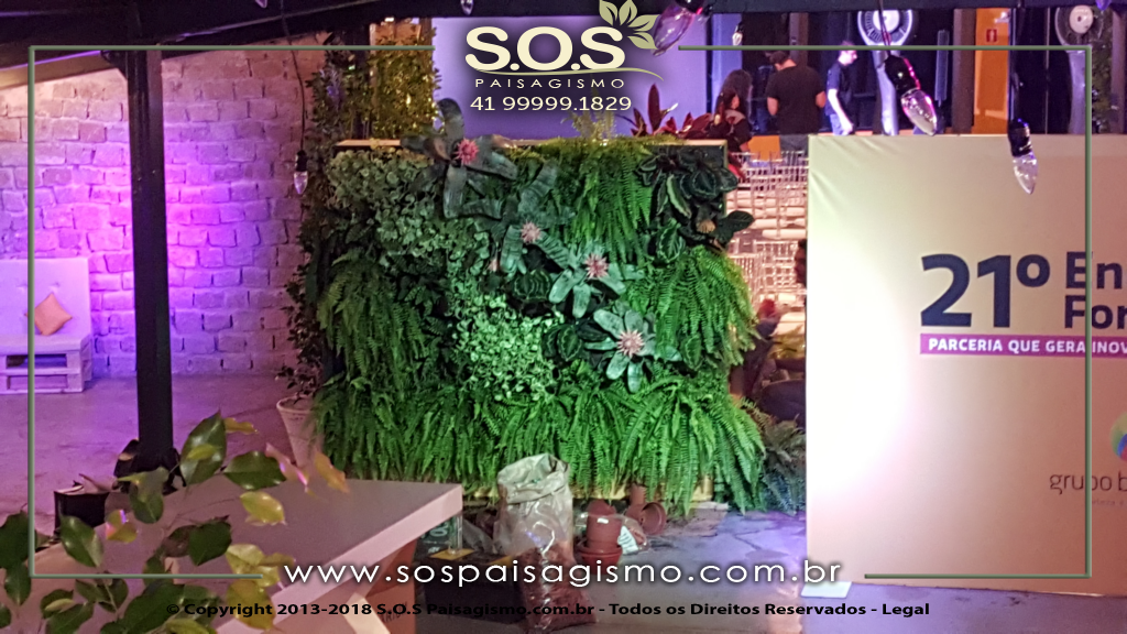 Parede Verde 20180325_221809