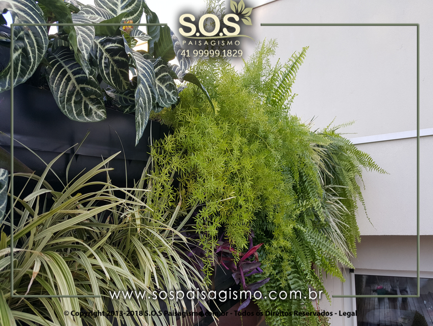 Parede Verde 20170624_161901