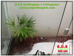 Paisagismo interno IMG_3170.jpg