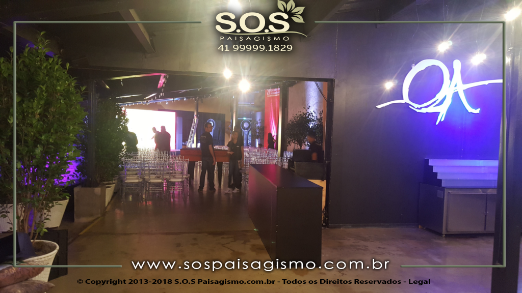 Parede Verde 20180325_185116