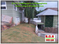 S.O.S Jardinagem 00284.jpg