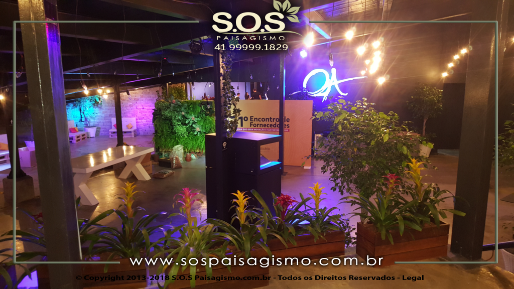 Parede Verde 20180325_221748
