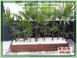 2014-08-14_00079 S.O.S Jardinagem e Paisagismo.jpg