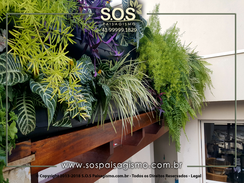Parede Verde 20170626_163714