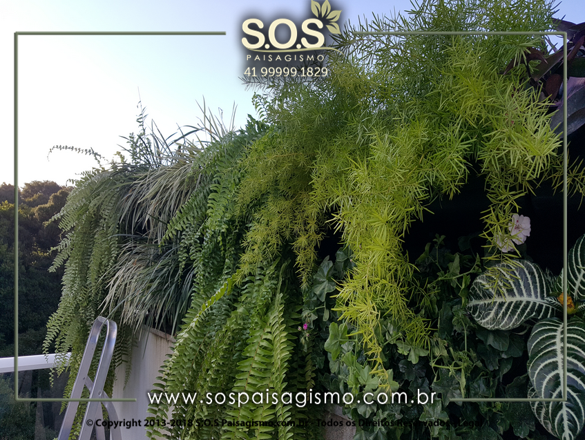 Parede Verde 20170624_161854