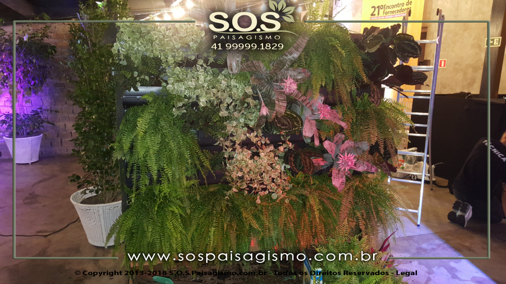 Parede Verde 20180325_215509