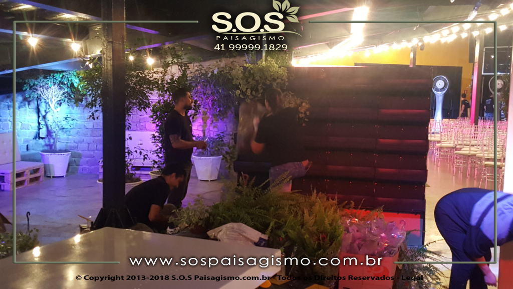 Parede Verde 20180325_204811