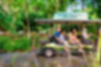 Singapore Zoo from MFFA family outing blog