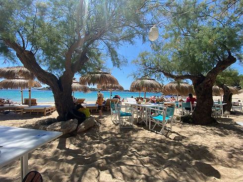 Beach-Club 1.jpeg