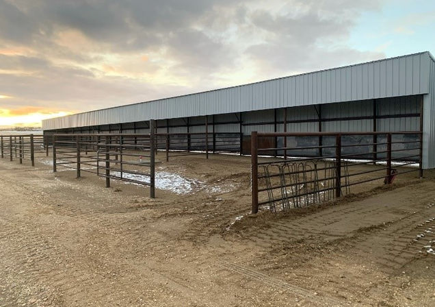 Daisy Stables (2) (1).jpg