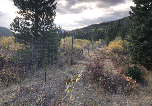 Estes Park - Wildlife Fence 2.png