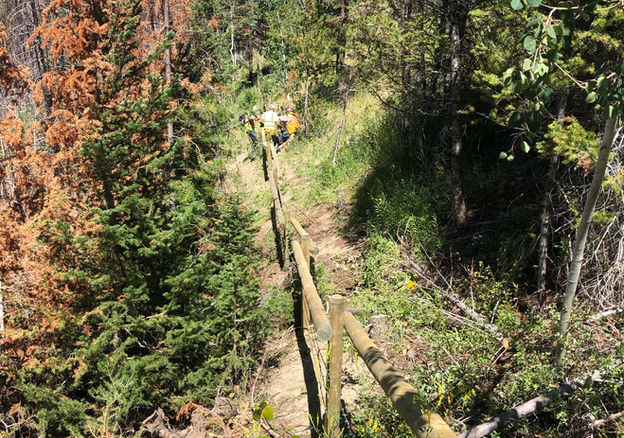 Pinedale Hoback - Wildlife Fence 3.png