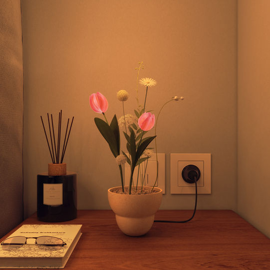 Tulip_V02_0006.jpg