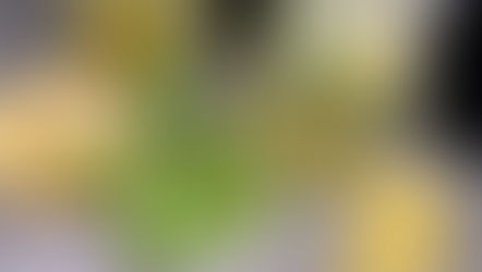 Lemon Mojito, Sparkling Lemon Mojito, Healthy Mojito recipe, Non Alcoholic Mojito