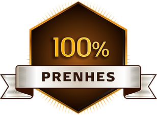 SELO PRENHEZ.png