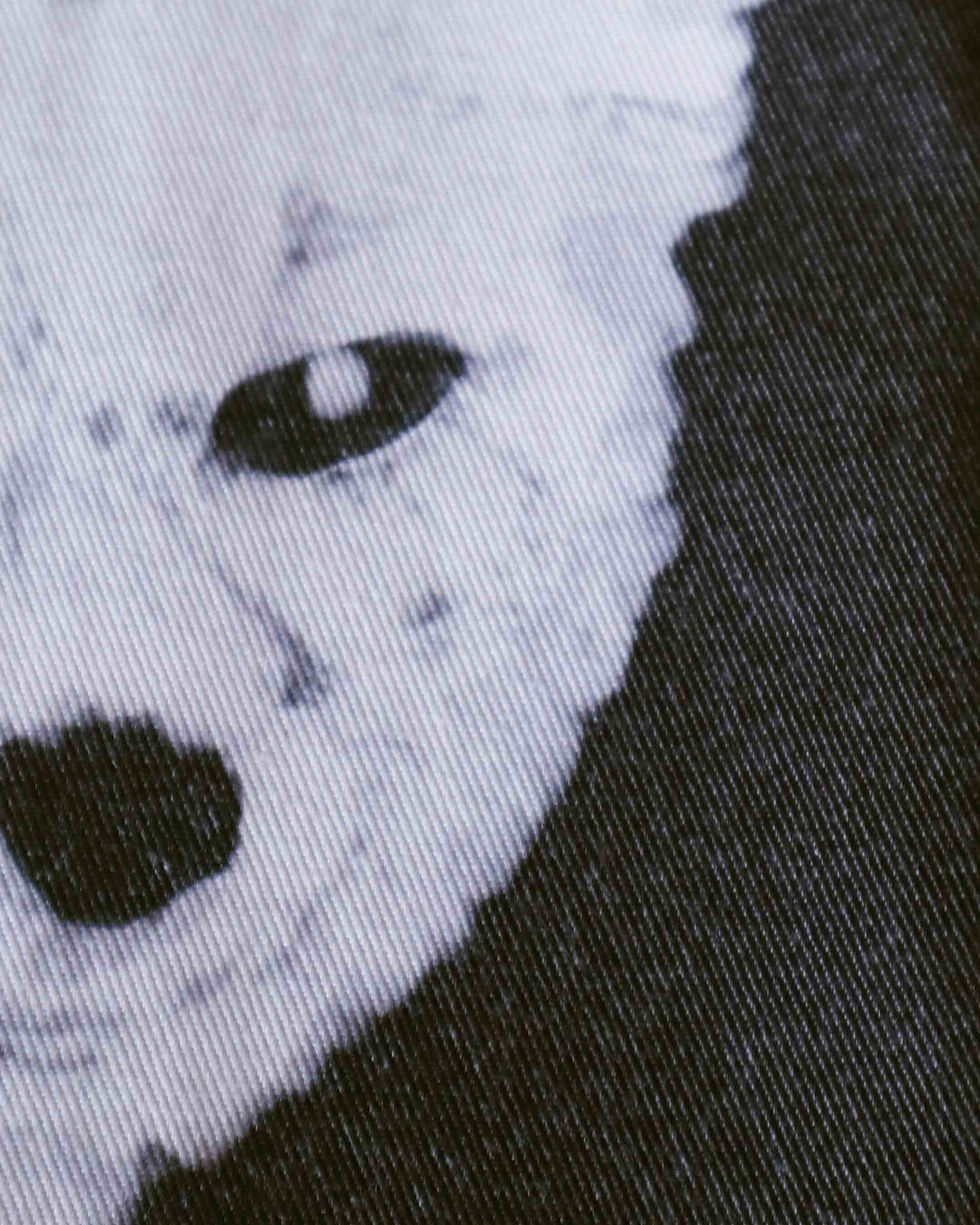 Thumbnail: 𓃦 tapestry/blanket - the night