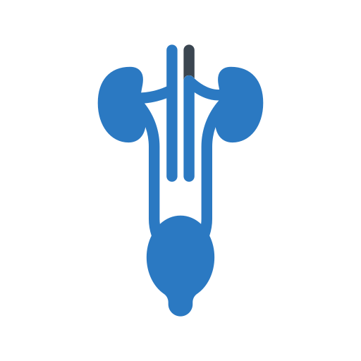 ícone com rins e ureter