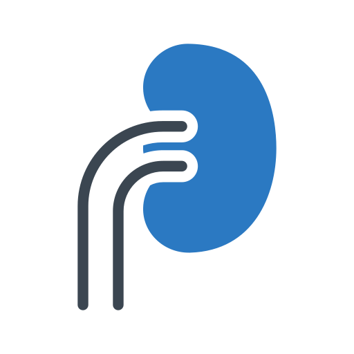 kidney (1).png