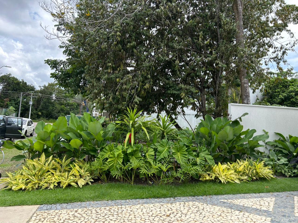 Lateral da garagem