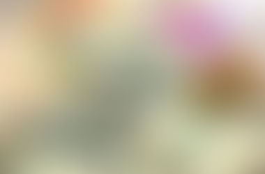 التقرير الاسبوعي من 6-10 شباط